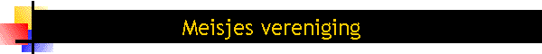 Meisjes vereniging