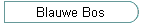 Blauwe Bos