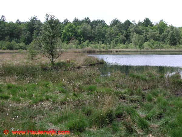 P5200105