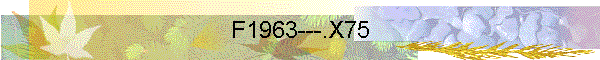 F1963---.X75