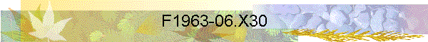 F1963-06.X30