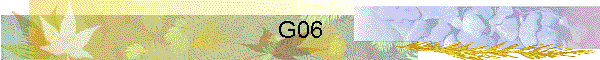 G06