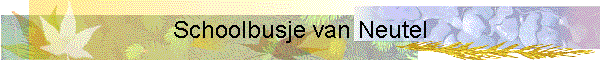 Schoolbusje van Neutel