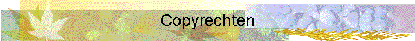 Copyrechten